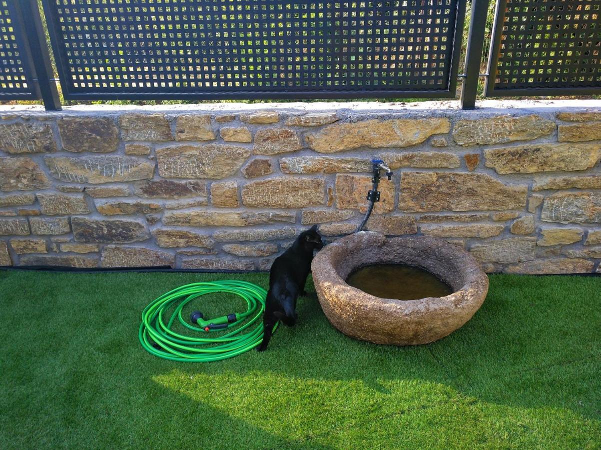 Casa Rural El Gato Negro Trefacio Luaran gambar