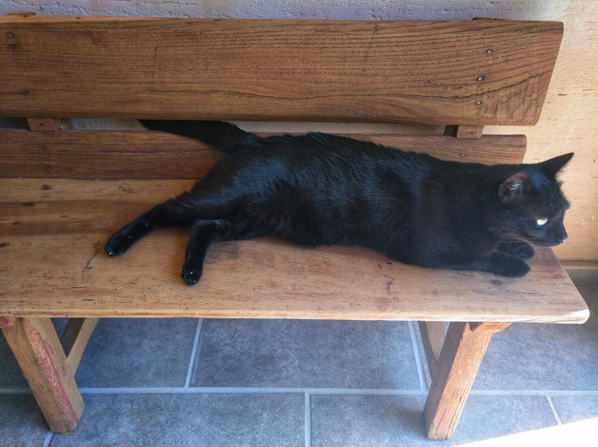 Casa Rural El Gato Negro Trefacio Luaran gambar